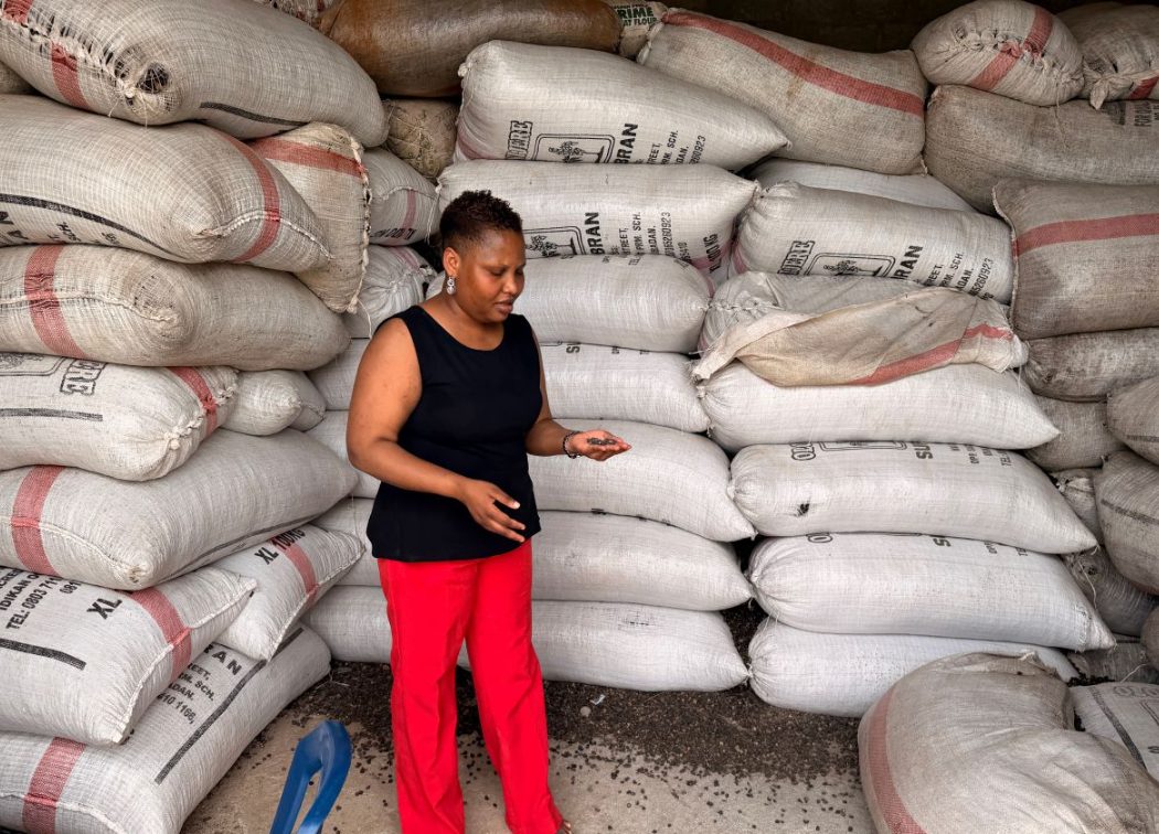 Oluwaseun Lijoka examining a handful of palm kernel among sacks in a warehouse