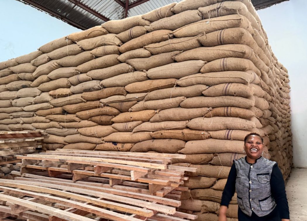 Oluwaseun Lijoka laughing in front of a wall of jute bags of cocoa stacked to the roof
